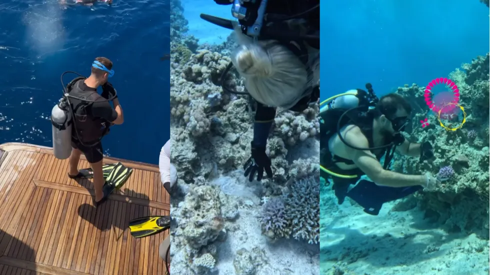 Zain Jo cleaning the red sea in Aqaba