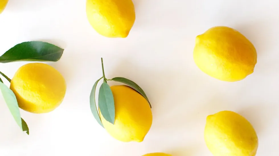 Lemon on a white background