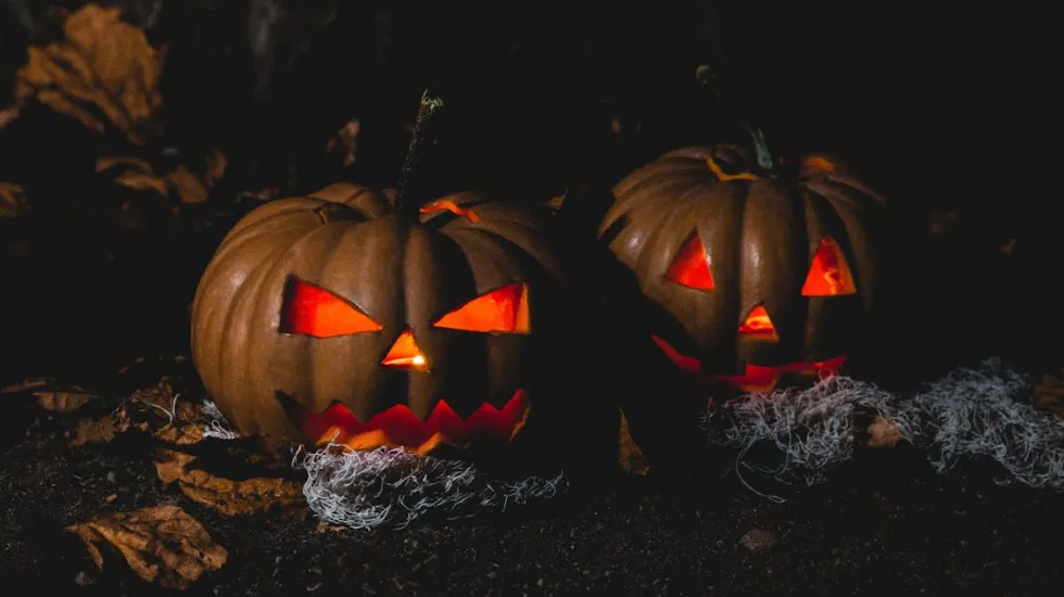 Two Spooky Carved Pumpkin for Halloween Night